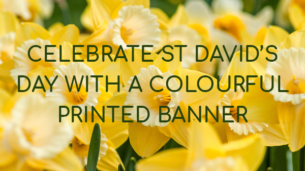 St David's Day Banners