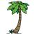 Palm Tree