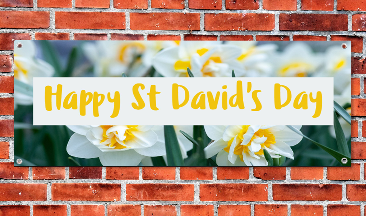 st davids day banners